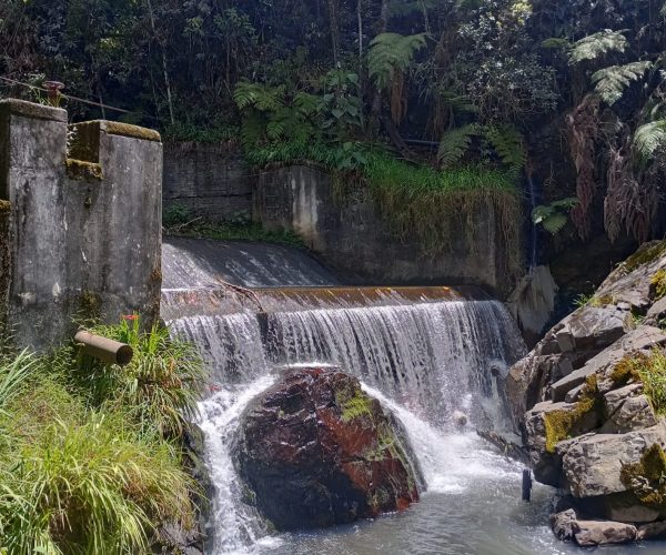 Cascada