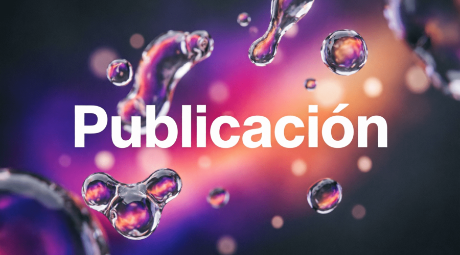 PublicacionMVSE